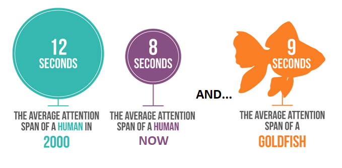 8 second attention span
